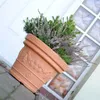A terracotta pot with a plant is placed on a stone surface, with a window in the background. Voir les images du produit