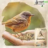 A bird is being fed from a hand with birdseed, with a bag of birdseed in the foreground. Produktbild-Vorschau