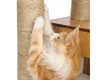 Kratzboom Vesper Vesper High Base Giant, krabpaal van Productafbeelding-voorbeeld 4