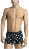 Adidas Underwear Active Flex Baumwolle Boxershorts 3 Produktbild-Vorschau 3