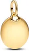 A close-up studio shot of a gold pendant. Anteprima dell’immagine prodotto