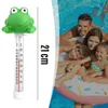 Termometr basenowy pływający żabka ze sznurkiem, do basenu Podgląd zdjęcia produktu 10