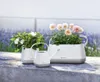 LECHUZA accessori YULA annaffiatoio 1,7 litri bianco grigio Anteprima dell’immagine prodotto 19