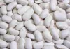 Nasiona fasoli wielokwiatowej do suchych warzyw Duże Podgląd zdjęcia produktu 8