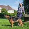 Hunter Halsband Swiss braun/schwarz, Größe: 50 cm / Breite: Produktbild-Vorschau 15