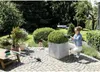A woman is trimming a bush in a garden. Anteprima dell’immagine prodotto