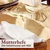 Klassischer Panettone 1 kg Fraccaro 1932 mit kandierten Produktbild-Vorschau 6