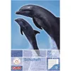 Herlitz 3320900, Mehrfarbig, 16 Blätter, A5, 80 g/m², Produktbild-Vorschau 2