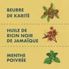Shea Moisture Jamaican Black Castor Oil Strengthen & Produktbild-Vorschau 4