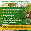 POWER HB-Nematoden gegen Dickmaulrüssler & Engerlinge, 5 Produktbild-Vorschau 2