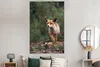 MuchoWow® Poster Fuchs - Wald - Regen 120x180 cm - Produktbild-Vorschau 4