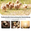 LED Schierlampe Eier, 60 mm tragbarer Eierprüfer, hohe Produktbild-Vorschau 5