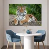 MuchoWow® Poster Tiger - Natur - Steine 120x80 cm - Bilder Produktbild-Vorschau 5