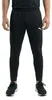 Puma teamRISE Poly Trainingshose Herren Produktbild-Vorschau 12