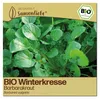 Samenliebe  Winterkresse Samen | Barbarakraut - winterhart Produktbild-Vorschau 1