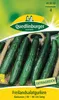 Salatgurke Gergana | Salatgurkensamen von Quedlinburger Produktbild-Vorschau 1