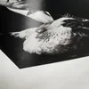 Hahnemühle Photo Rag® Baryta FineArt Inkjet-Papier - 315 Produktbild-Vorschau 2