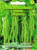 Fuchsschwanz Viridis | Fuchsschwanzsamen von N.L. Produktbild-Vorschau 3