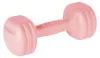 Rebel RBA-2306 Manubri fitness 2 x 1,5 kg, rosa chiaro Anteprima dell’immagine prodotto 2
