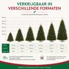 Triumph Tree Forest Frosted Kunstkerstboom - Productafbeelding-voorbeeld 7