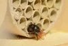 dobar Profi-Insektenhotel für Wildbienen, massive Nisthilfe Produktbild-Vorschau 4
