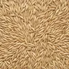 Zona agricola Avena biologica 20 kg Anteprima dell’immagine prodotto 2