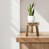 A snake plant in a white pot sits on a wooden stool, which is placed on a wooden shelf. The background is a white wall with shadows cast by sunlight. Produktbild-Vorschau