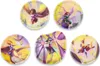 A collage of five round plates, each featuring a different illustration of a fantasy character with wings or riding a mythical creature. Náhled obrázku produktu