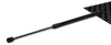 RIDEX 219G0279 Gasfeder Heckklappendämpfer für AUDI A3 Produktbild-Vorschau 1