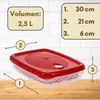 A red and clear plastic food storage container with a grid insert, shown with measurement indicators and volume information. Produktbild-Vorschau