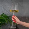 Intirilife 6x calice da vino con design moderno - capacità Anteprima dell’immagine prodotto 4