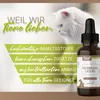 Animal Pro | Wurmsan Liquid | Für Haustiere: Hund & Katze Produktbild-Vorschau 3