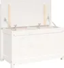 A white wooden storage chest with its lid open, revealing two compartments inside. The lid is held open by gas struts. Náhled obrázku produktu