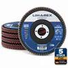 Fächerscheiben 125 mm Holz Metall P40 Lamellenscheiben 5 Produktbild-Vorschau 1