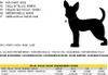 Marvel Hundehalsband M / L - Verstellbar, robust & bequem Produktbild-Vorschau 6