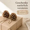 Pinienzapfen 10 Stück 8-12 cm Pinus pinea groß Tannenzapfen Produktbild-Vorschau 4