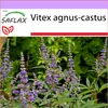 SAFLAX - cudný strom - Vitex agnus-castus - 30 Semena Náhled obrázku produktu 10