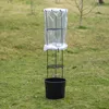 Prosperplast Tomatoes 29.5x29.5x 31.5-153 Cm Blumentopf Produktbild-Vorschau 39