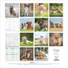 Chiens 2027 Voir les images du produit 2