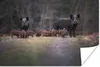 MuchoWow® Poster Tier - Wildschwein - Wald 30x20 cm - Produktbild-Vorschau 1
