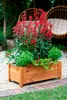 BOGATECO Pflanzkasten Pflanzkübel aus Holz | Blumen-Topf Produktbild-Vorschau 5