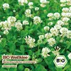 Samenliebe  Weißklee Samen | Bienenfreundlicher Gründünger Produktbild-Vorschau 4
