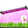 A grow light illuminates young plants growing in soil. Náhled obrázku produktu