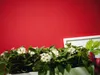 A.S. Création überstreichbare Vliestapete Meistervlies 6 Produktbild-Vorschau 11
