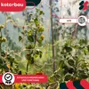 KOTARBAU® Jutenetz Gurken Rankhilfe Netz 180 x 270 cm Produktbild-Vorschau 2