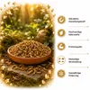 Soldatenfliegenlarven 10 L getrocknet im Eimer Produktbild-Vorschau 5