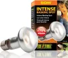 Ampoule Exo Terra Intense Basking Spot 50W Voir les images du produit 2