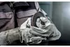 Metabo WEV 11-125 Quick - Winkelschleifer - grün/schwarz Produktbild-Vorschau 37