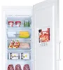 Haier H2F-255WSAA Gefrierschrank NoFrost Pizza Ablagefach Produktbild-Vorschau 5