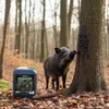 Agrarzone Buchenholzteer 6 kg Lockmittel Schwarzwild Produktbild-Vorschau 3